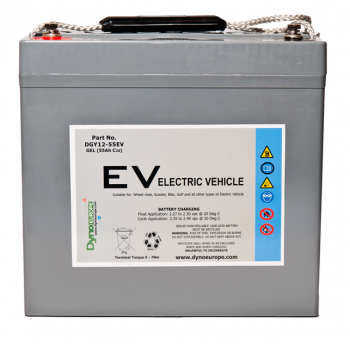 DGY 12-55EV (12V 55Ah)